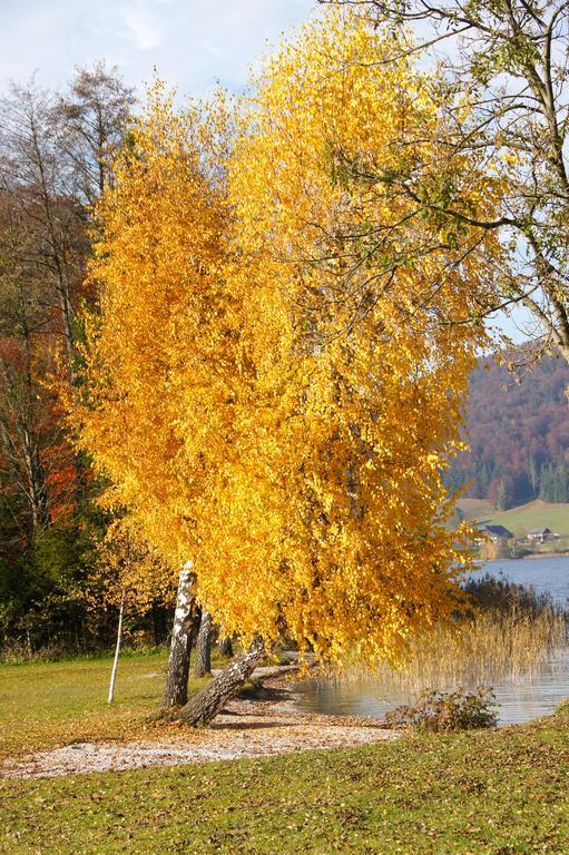 Haus Lisa Lägenhet Fuschl am See Exteriör bild