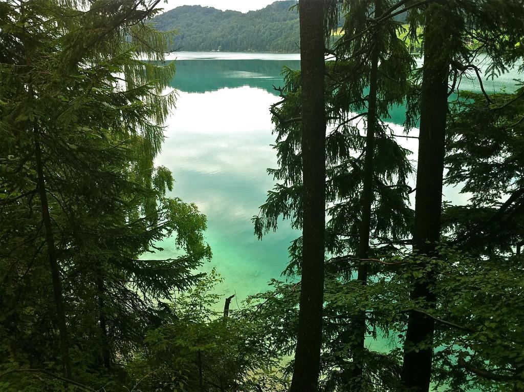Haus Lisa Lägenhet Fuschl am See Exteriör bild